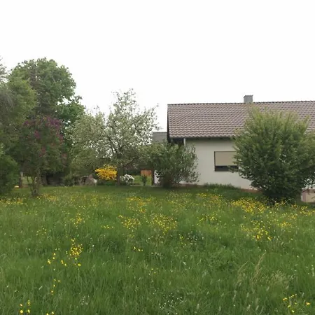 Guest house Gasthaus Pension Zum Brandweiher