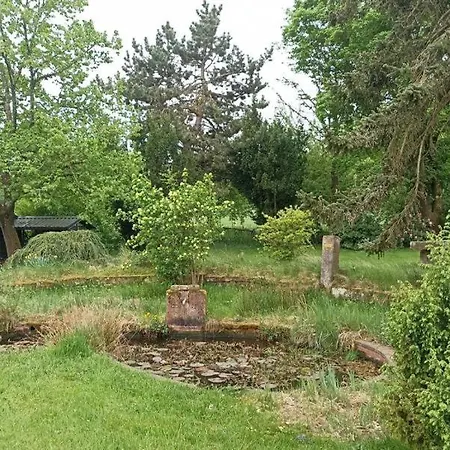Guest house Gasthaus Pension Zum Brandweiher Niederdorla